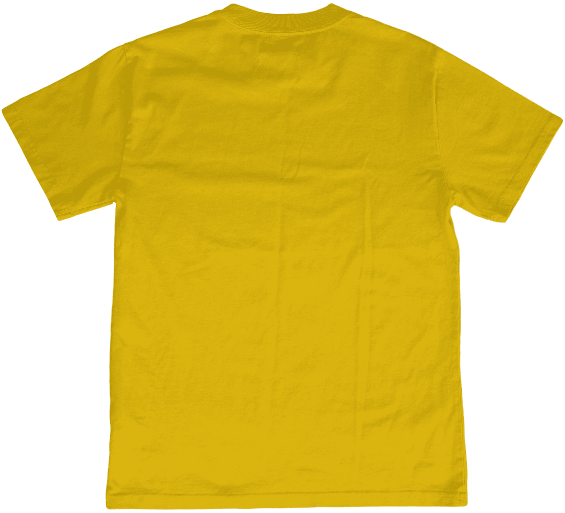 Bespoke graphic design on premium streetwear t-shirt